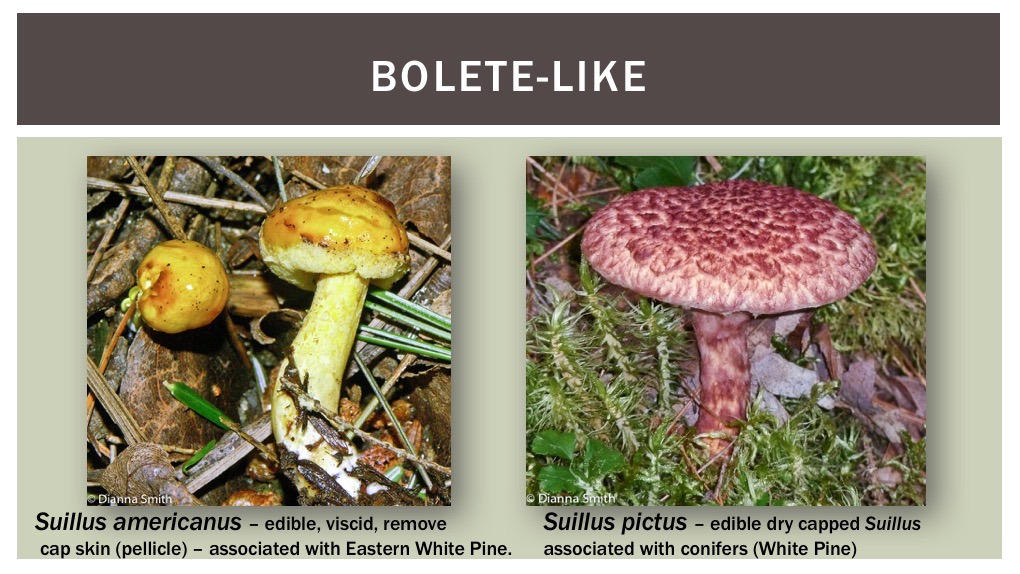 Slide23