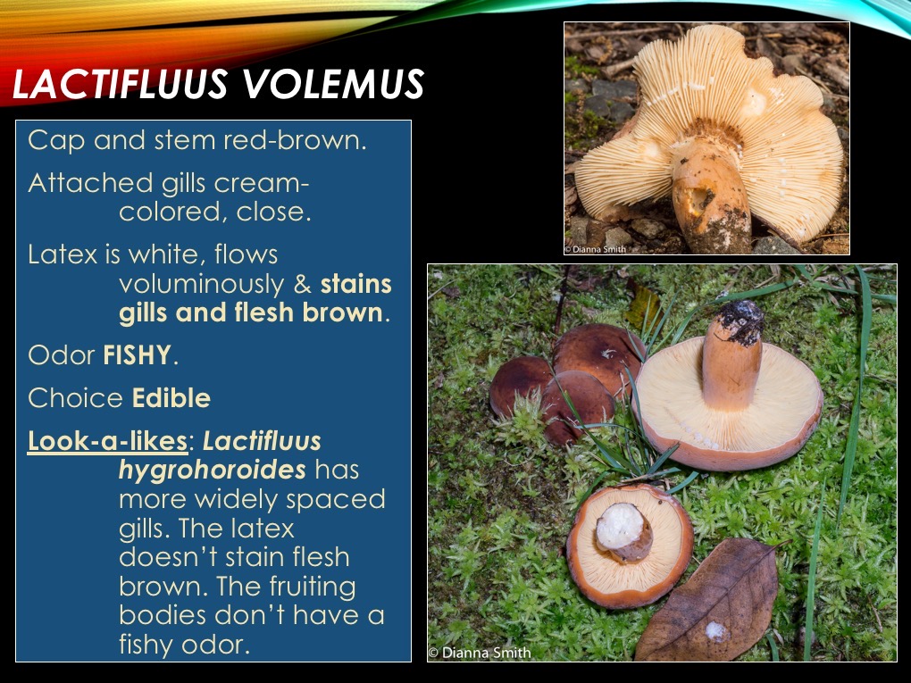Slide24