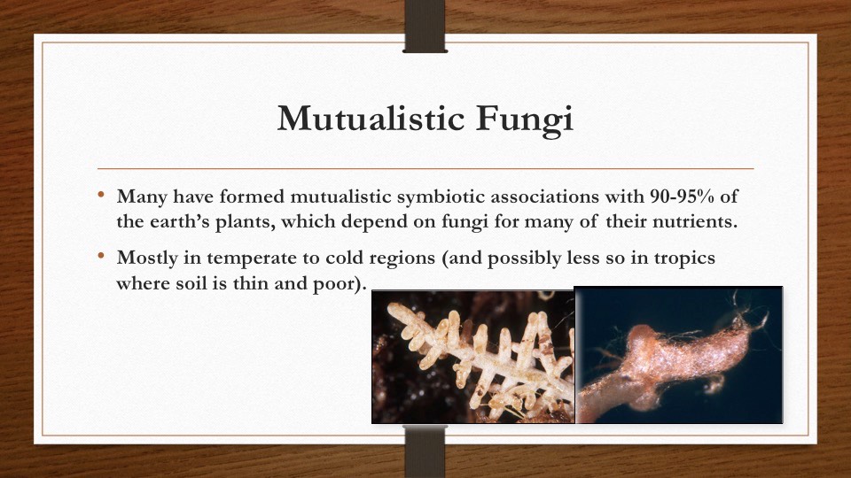 Slide24