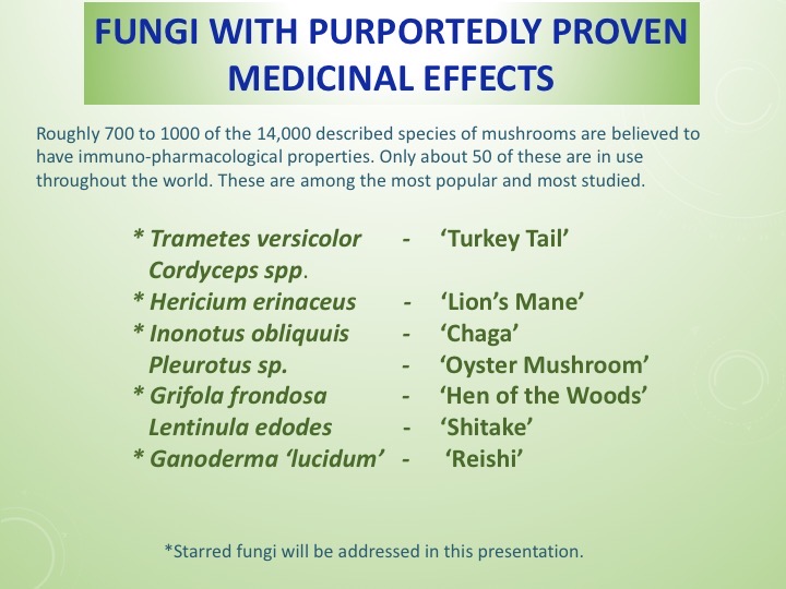 Slide031