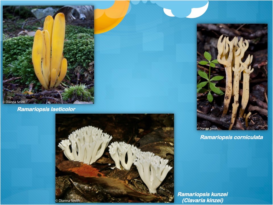 Slide24