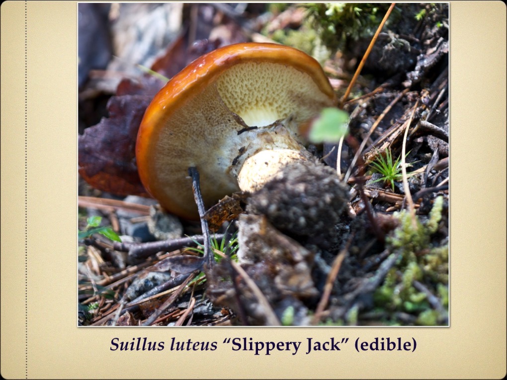 Slide25