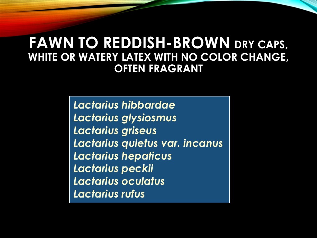Slide25