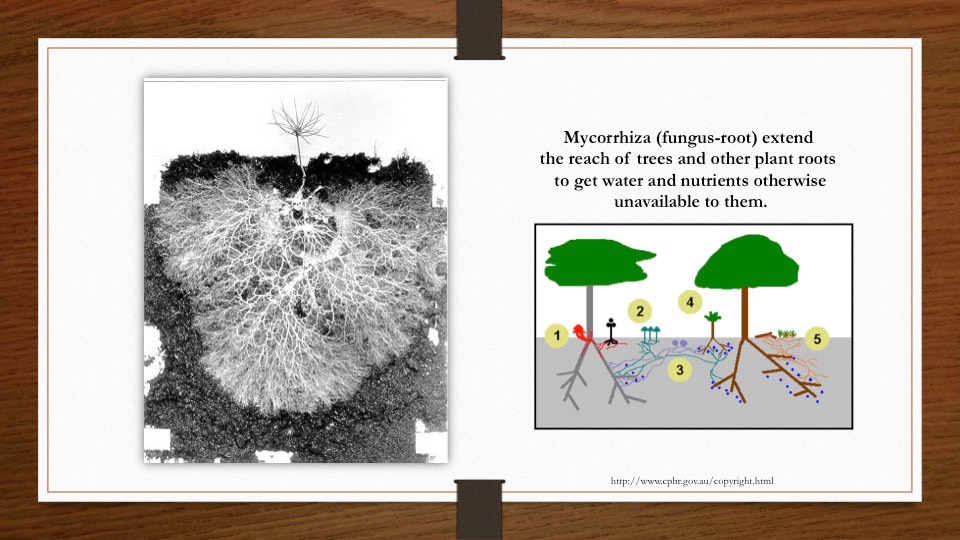 Slide25