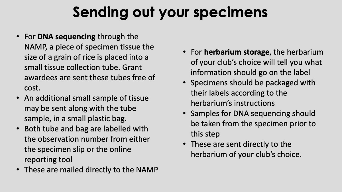 Slide25