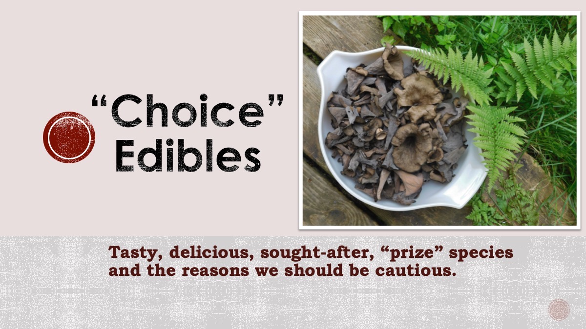 Slide25