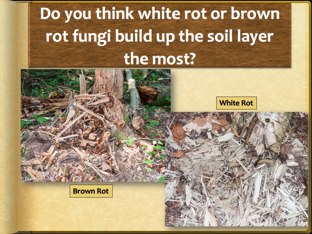 Slide26
