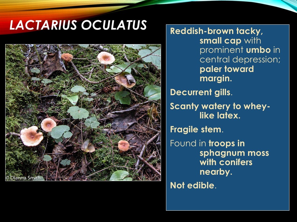 Slide26