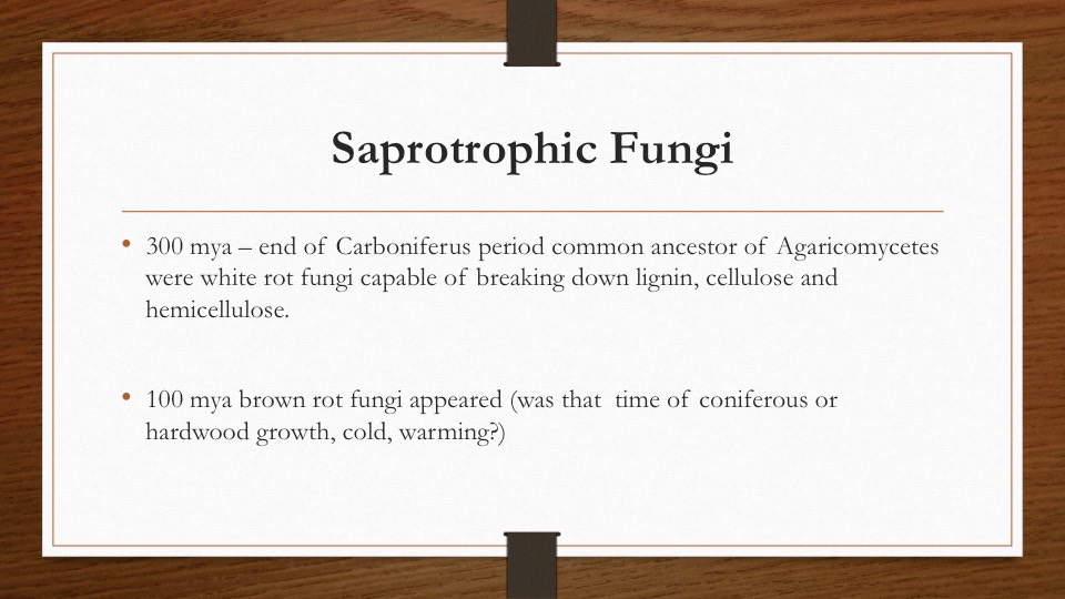 Slide26