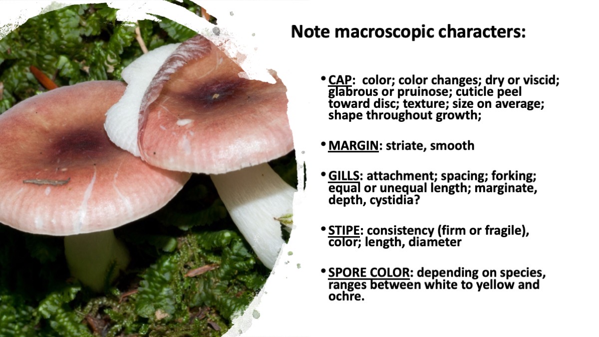 Slide27