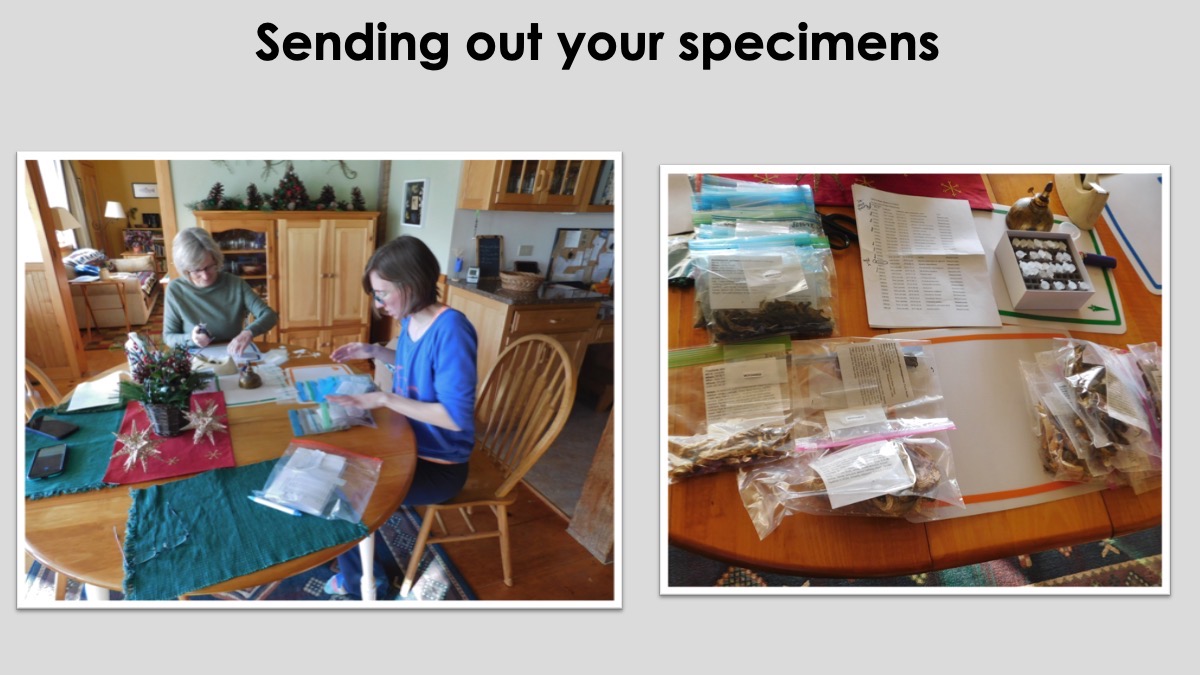Slide26