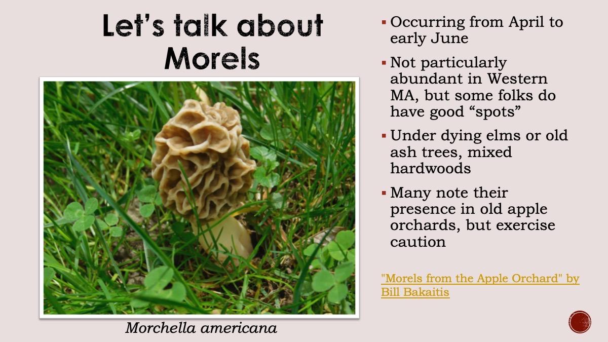 Slide26