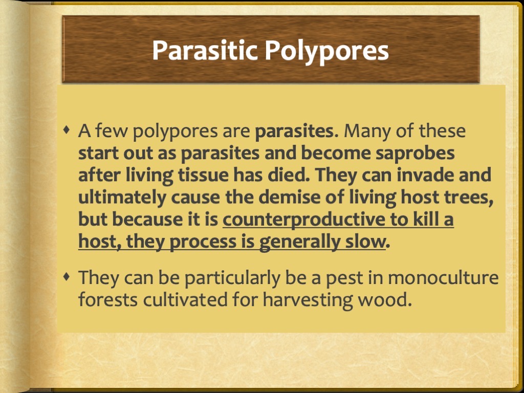 Slide27