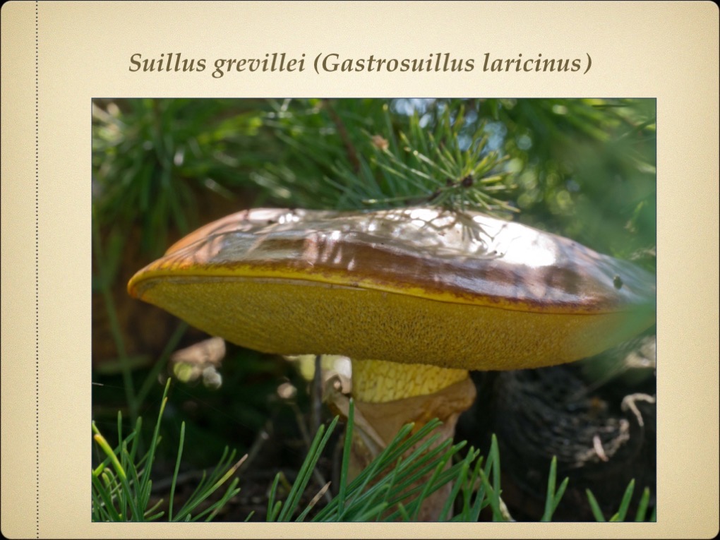 Slide27