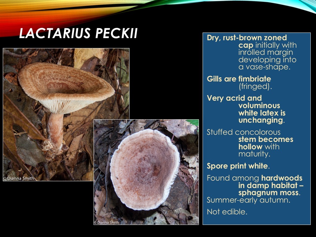Slide27