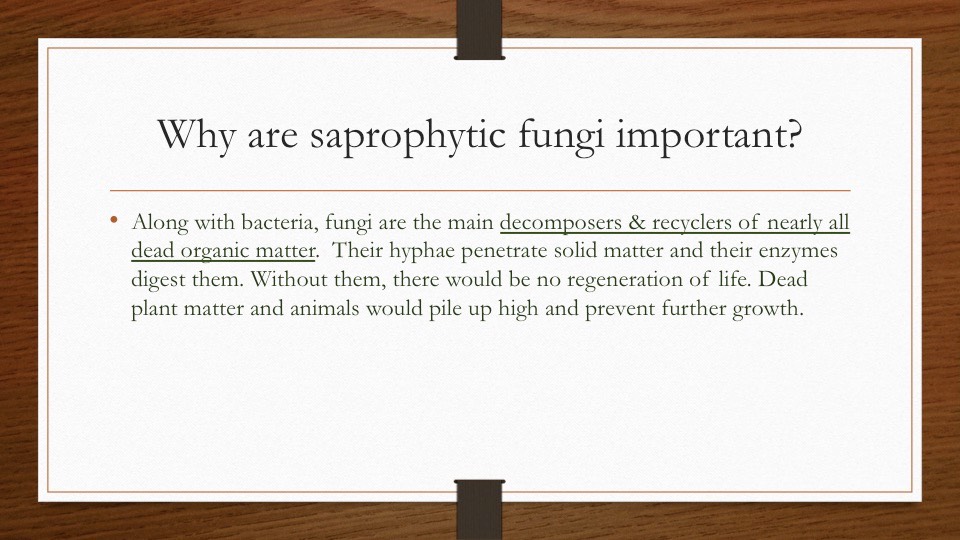 Slide27