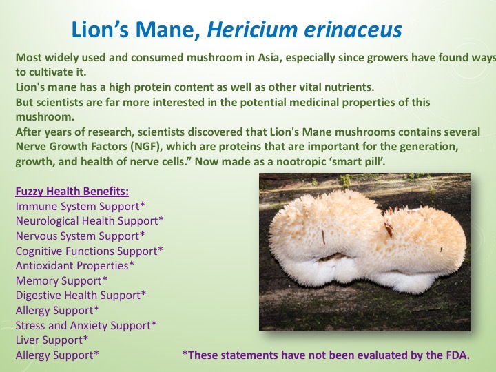 Slide033