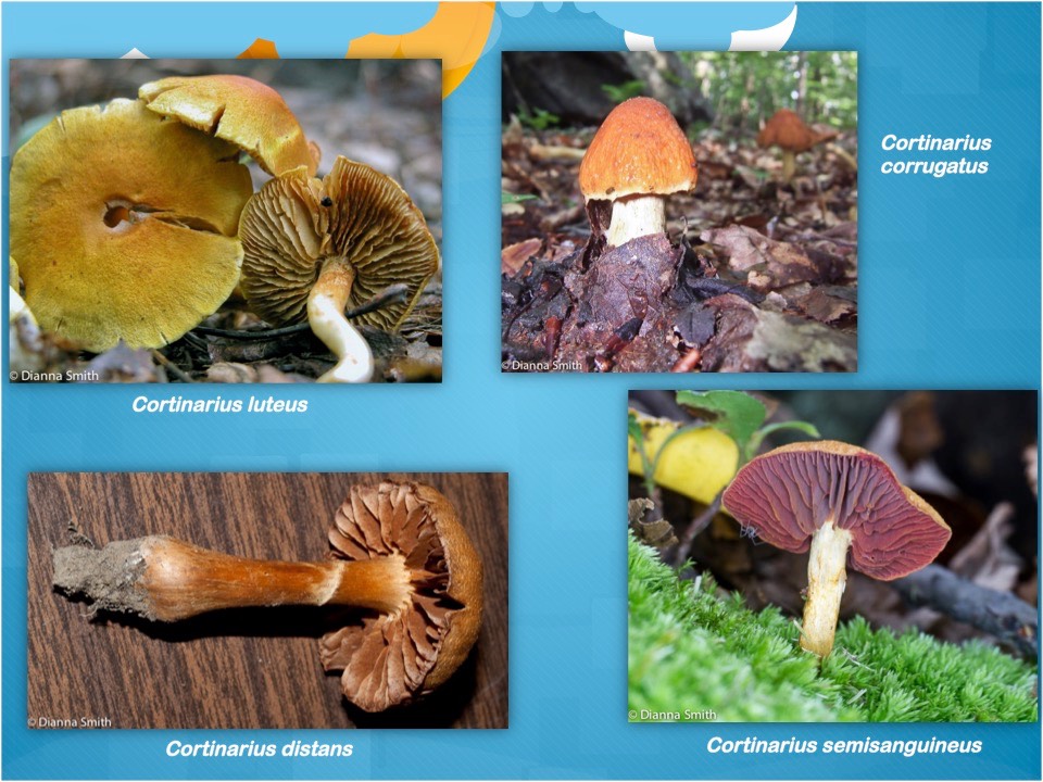 Slide27