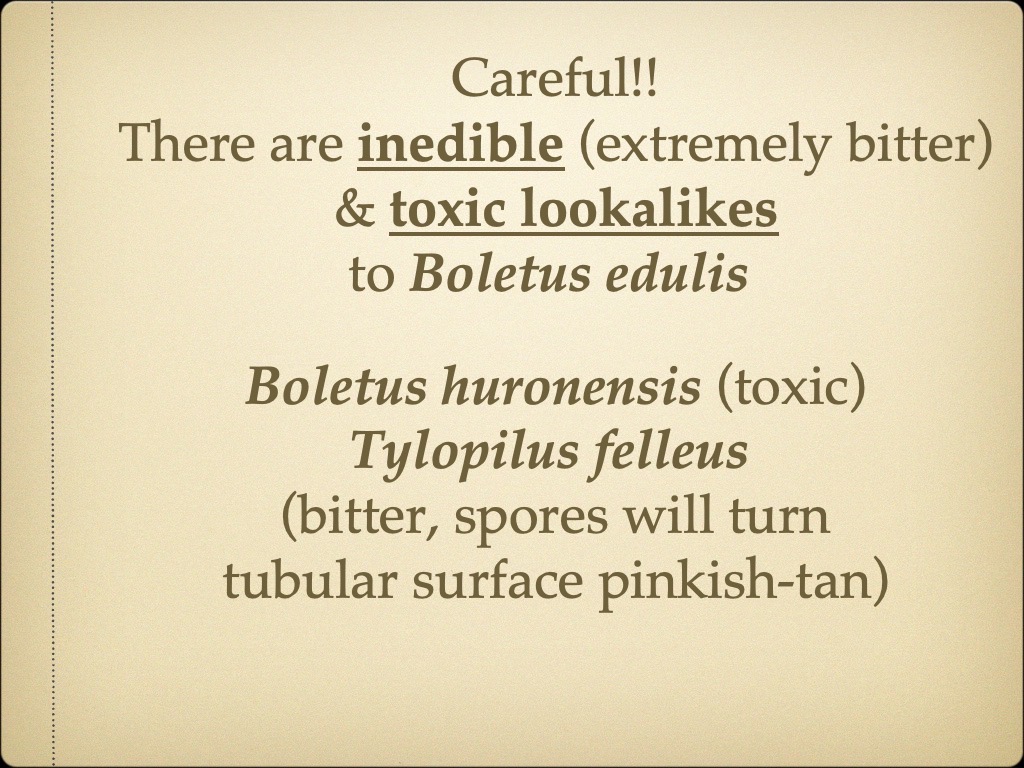 Slide27