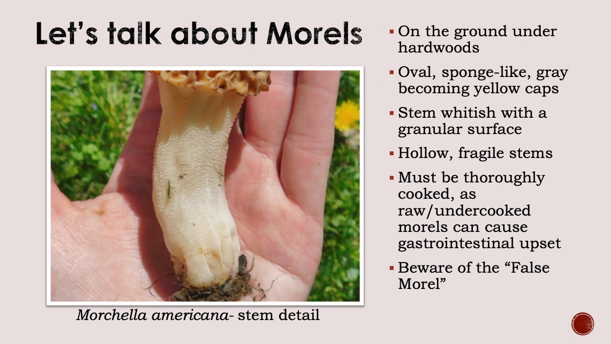 Slide27