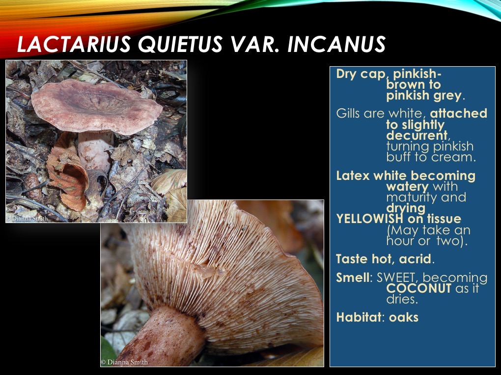 Slide28