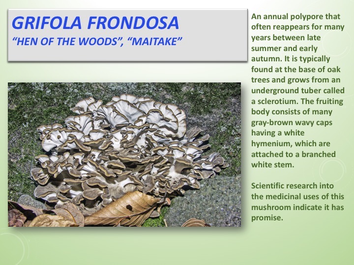 Slide039