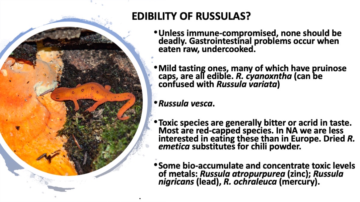 Slide29