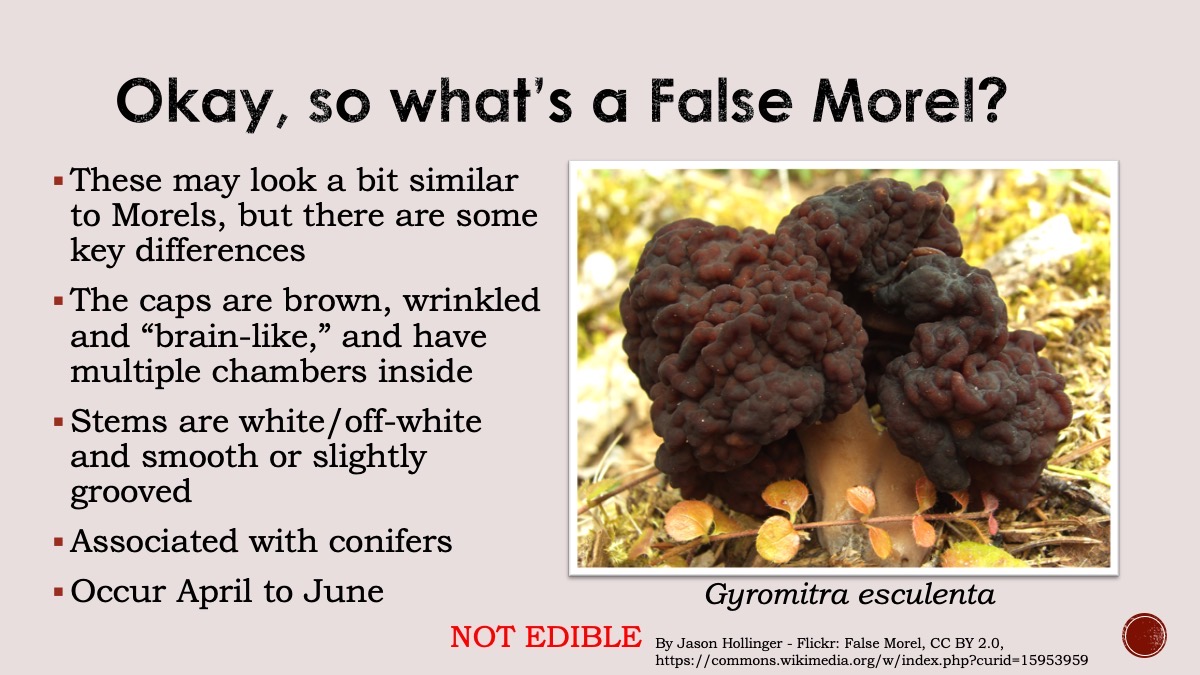 Slide28
