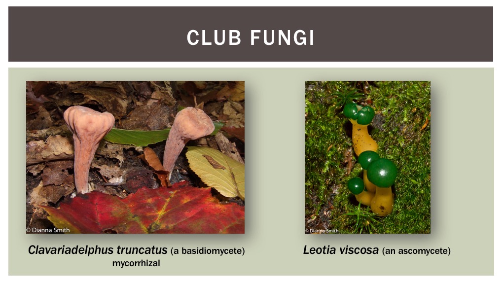 Slide28