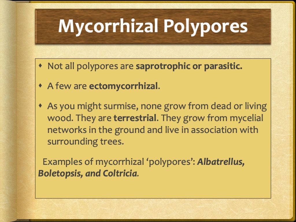 Slide28