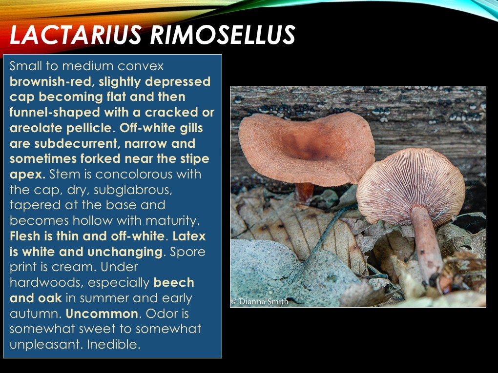 Slide29