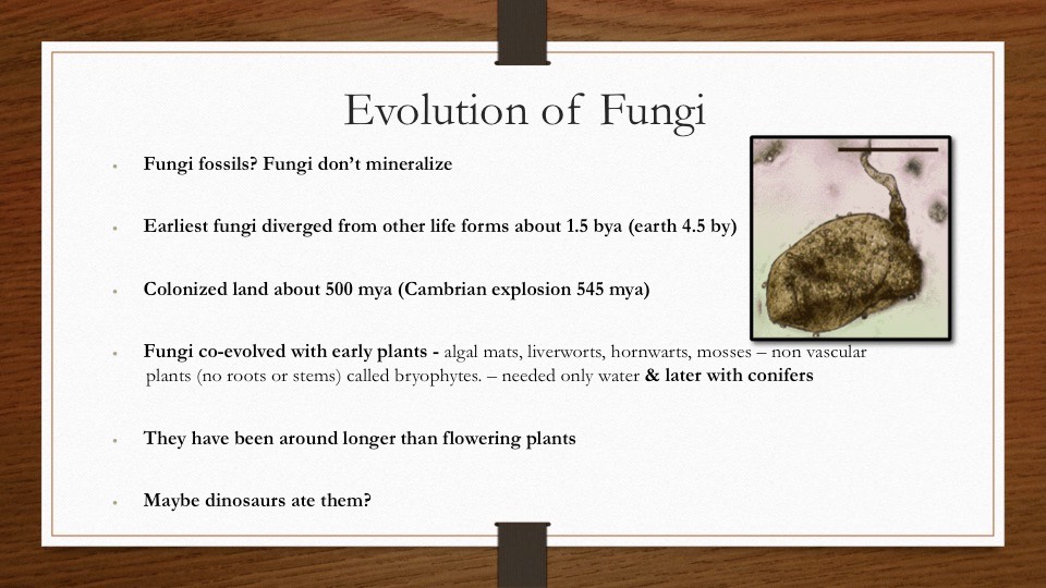 Slide29