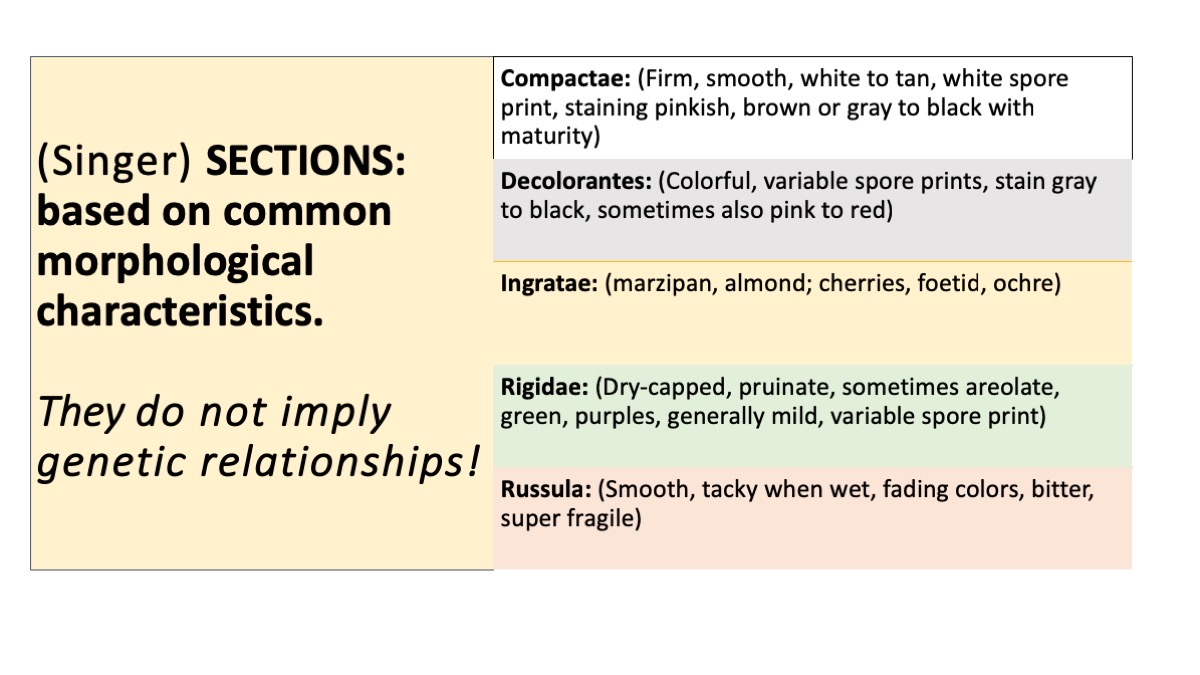 Slide30