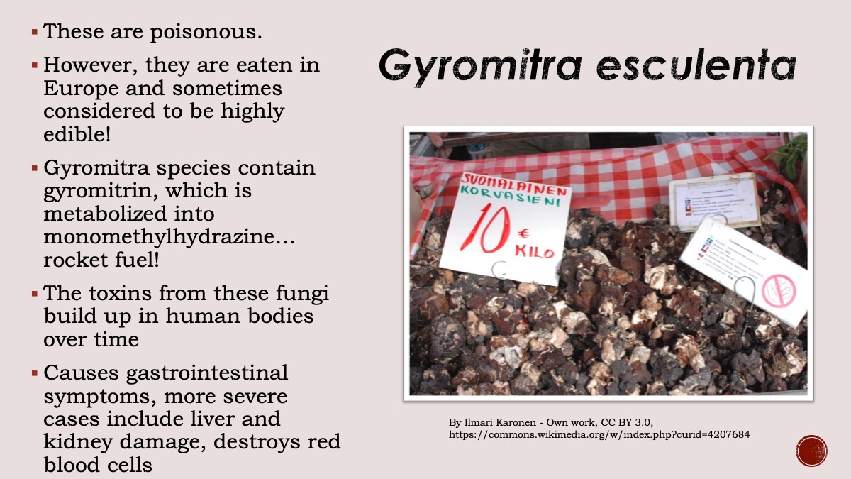 Slide29