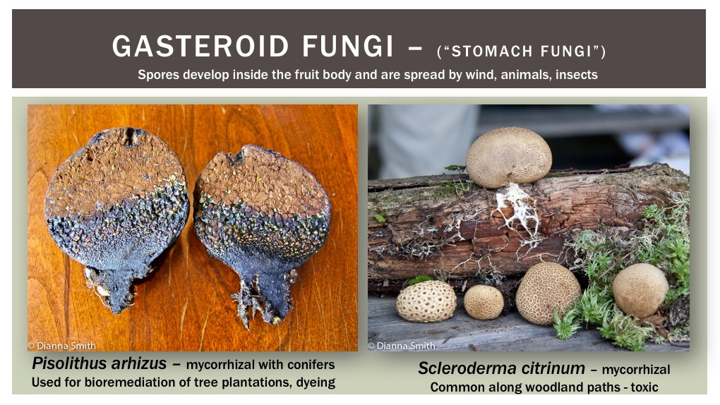 Slide29