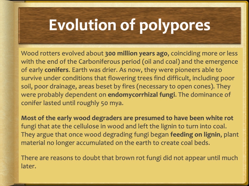 Slide29