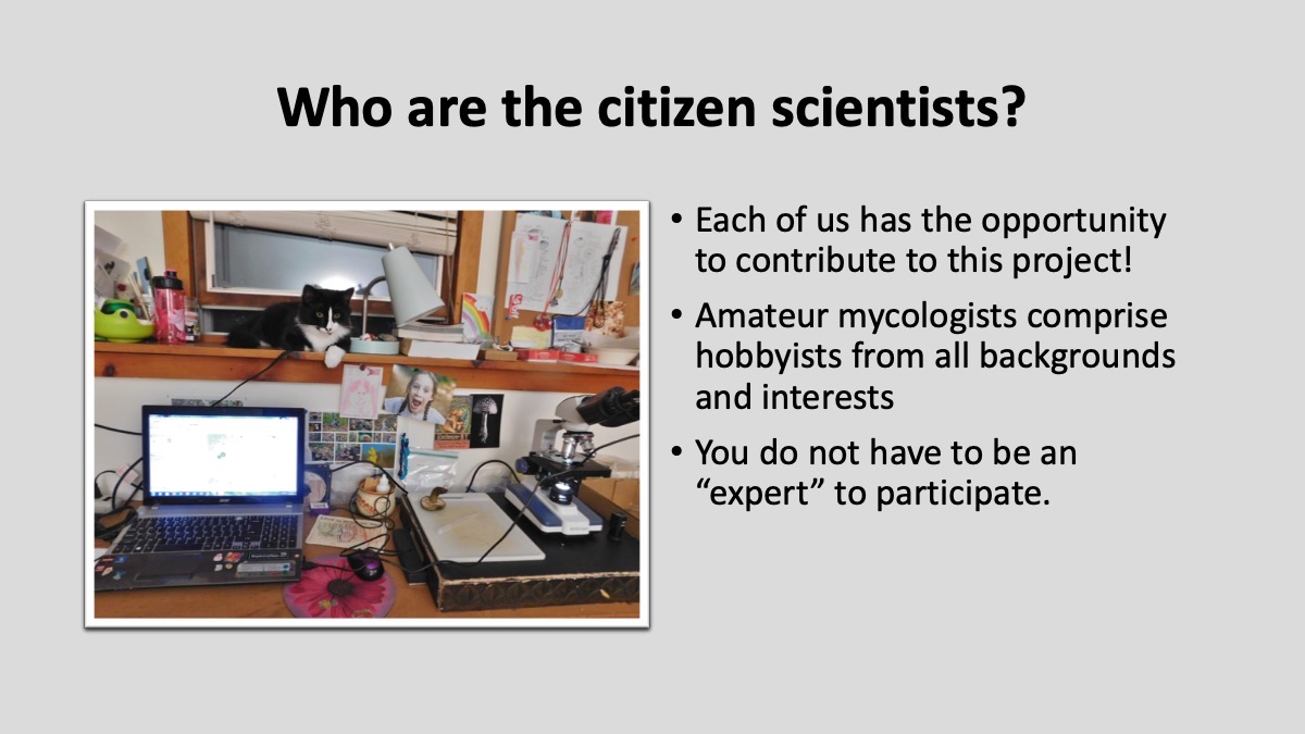 Slide3