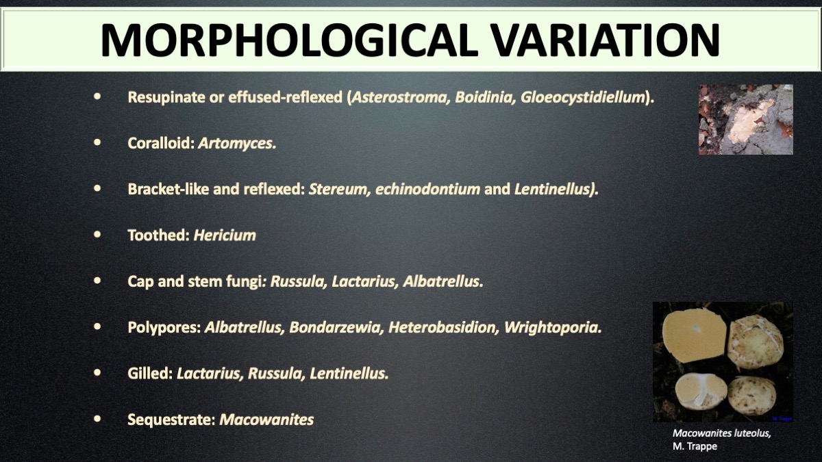 Slide3