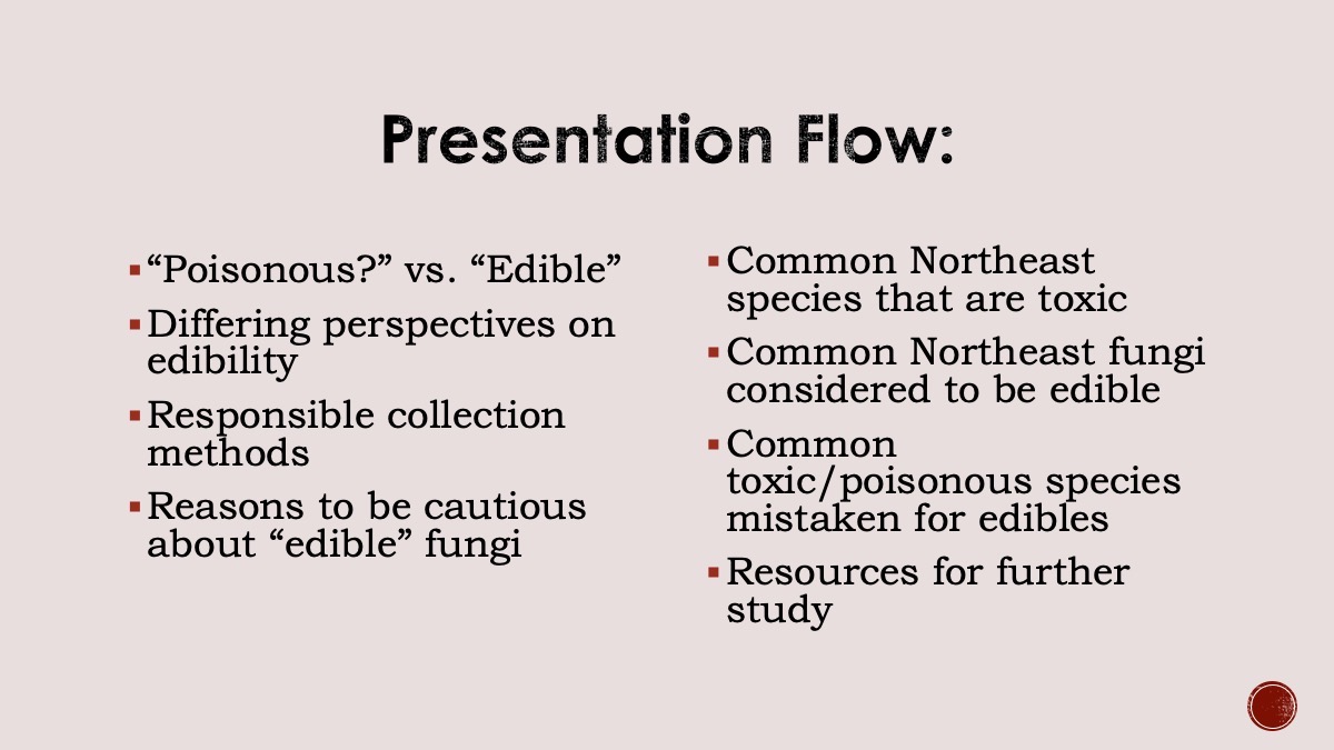 Slide3