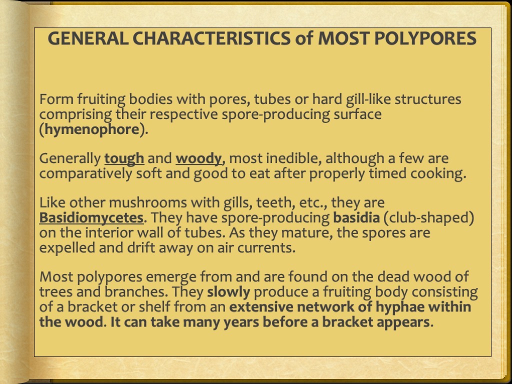 Slide3