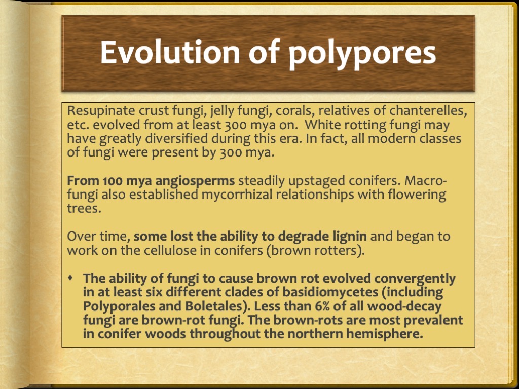 Slide30