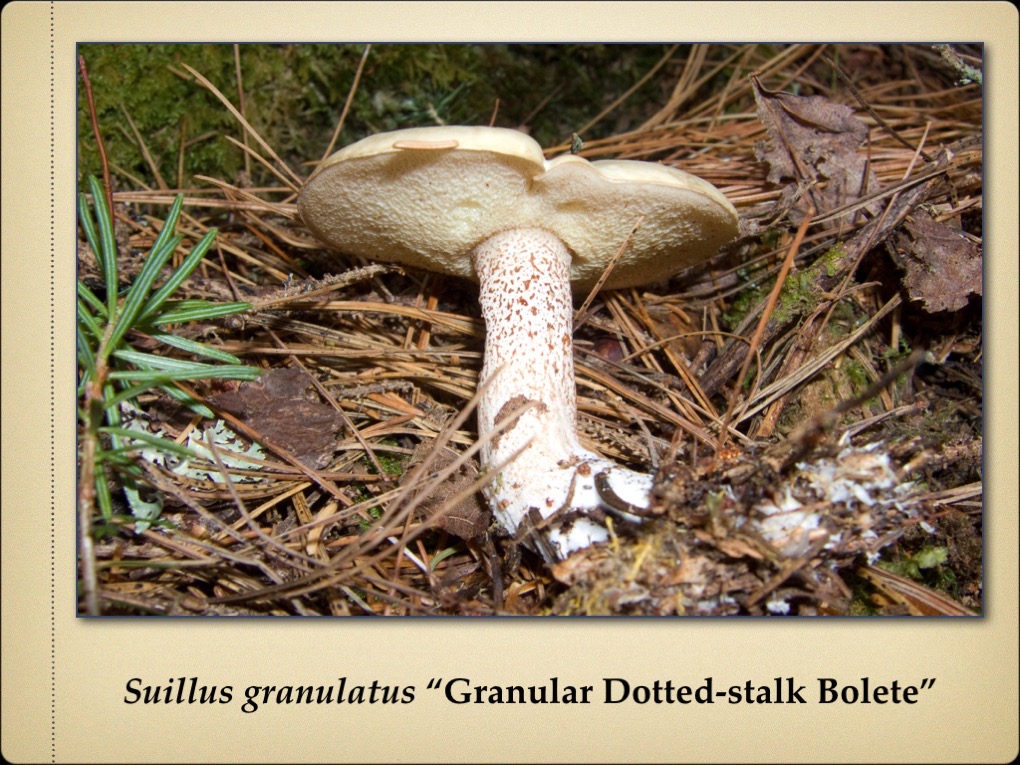 Slide30