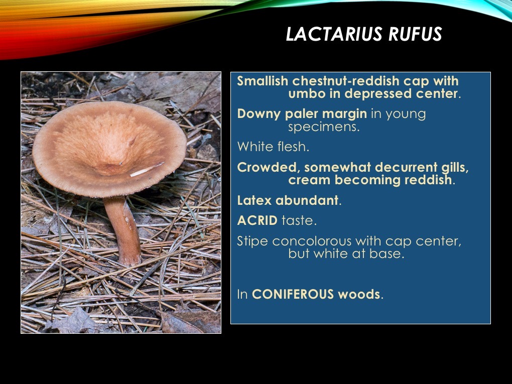 Slide30
