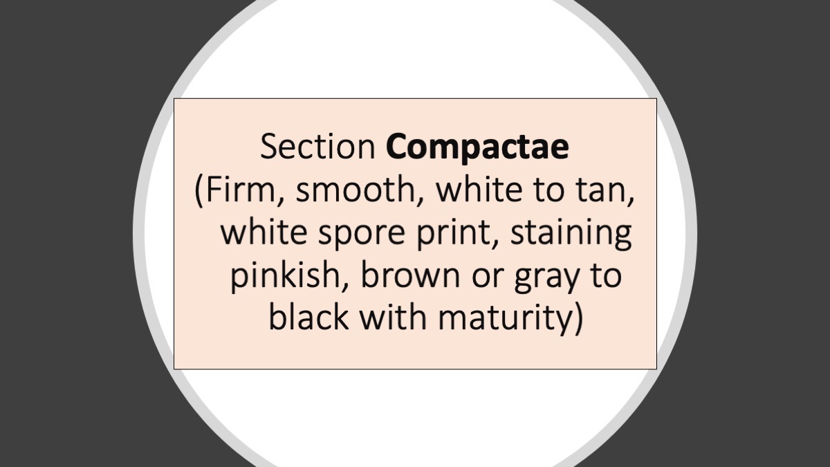 Slide31