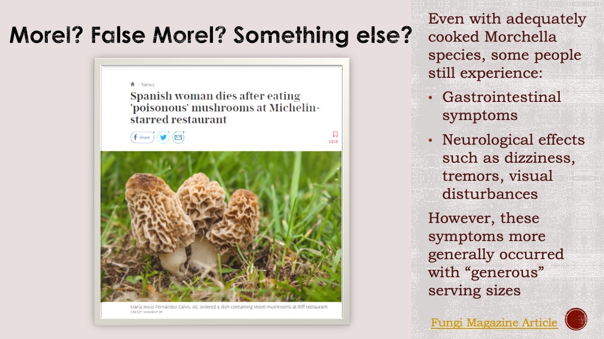 Slide31