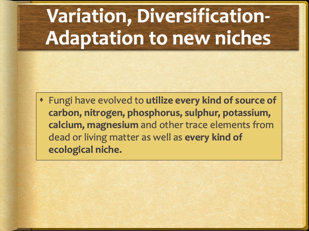 Slide31