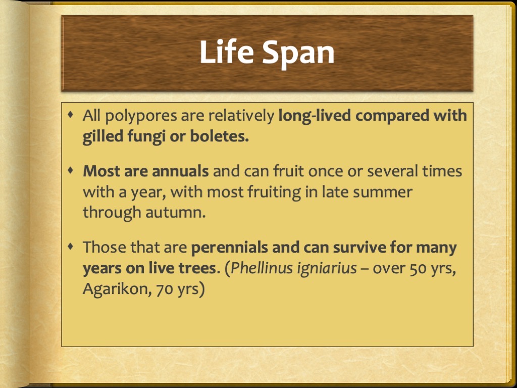 Slide32