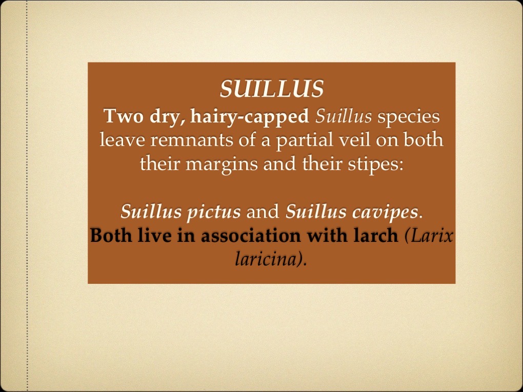 Slide32