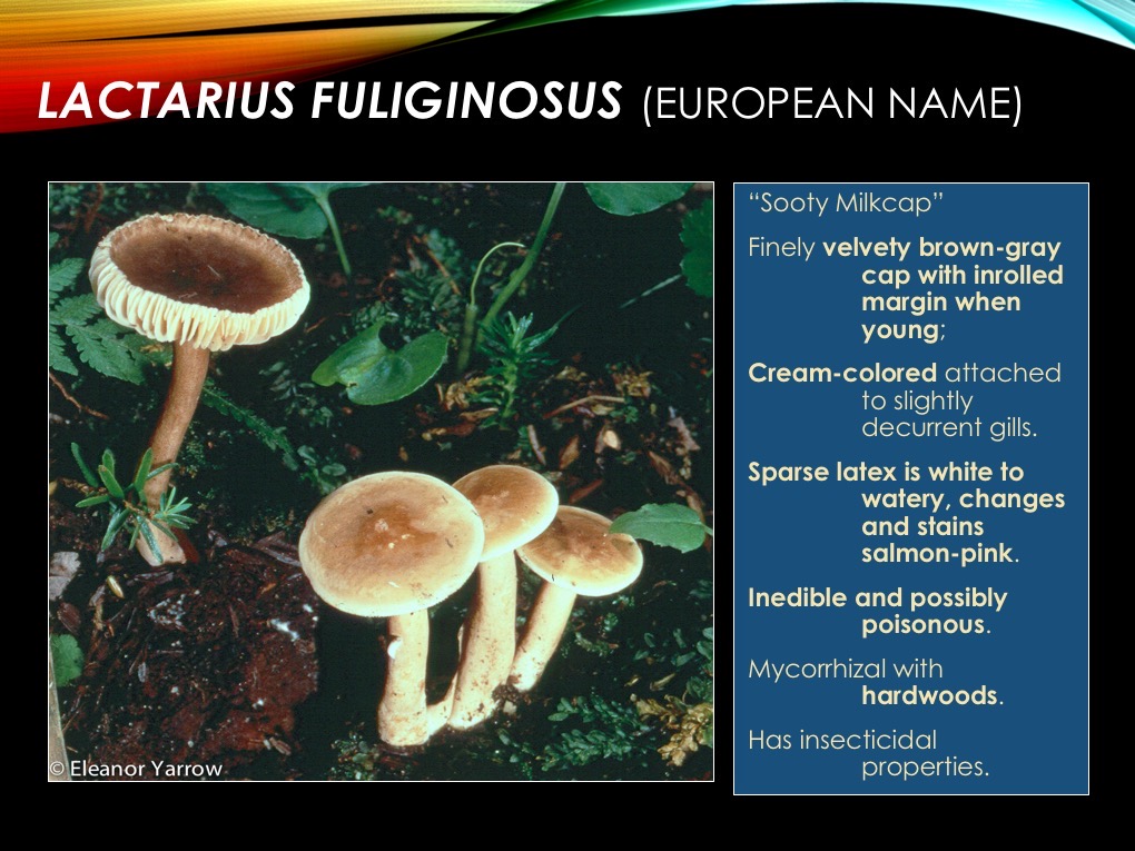 Slide32