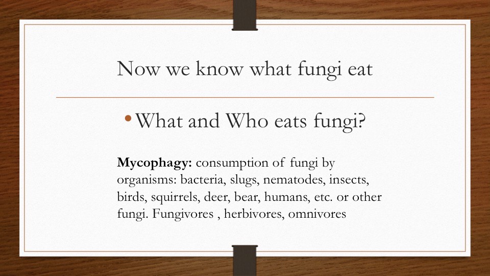 Slide32